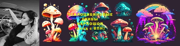 прущая мука Армянск
