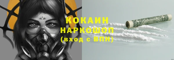 стаф Снежногорск