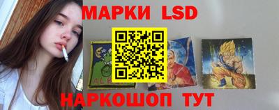 мдпв Гусев