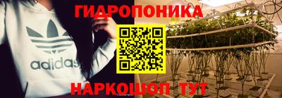 гидропоника Гусиноозёрск
