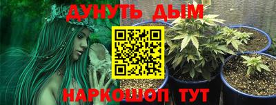 гидропоника Гусиноозёрск