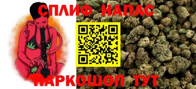 гашик Гусь-Хрустальный
