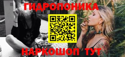 мдпв Гусев