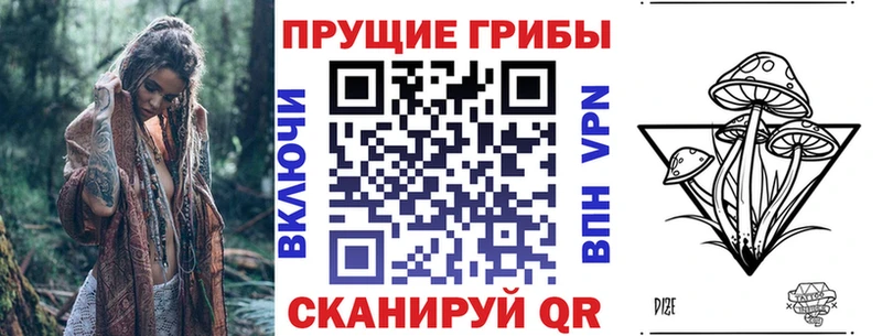 даркнет сайт  Нарткала  Псилоцибиновые грибы мицелий 