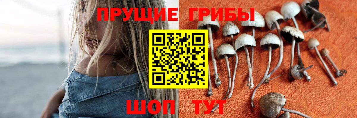 Галлюциногенные грибы прущие грибы Нарткала