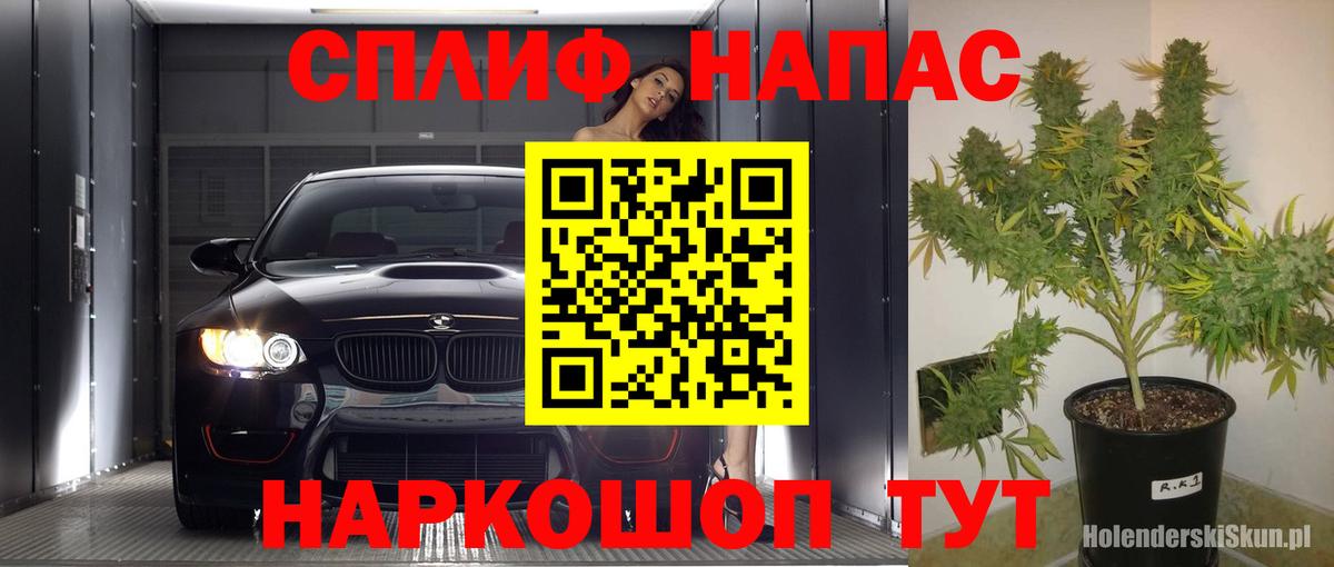 Шишки марихуана Amnesia Нарткала